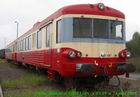 le  petit  train