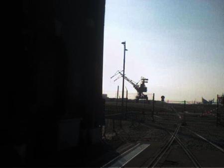 grues