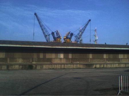 2 grues