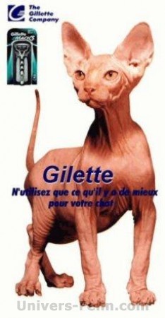 gillette