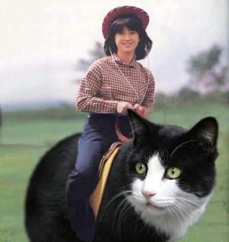 le  chat  le  plus  grand  du  monde