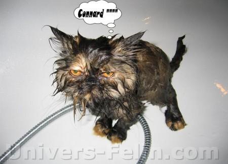 pas  tr�s  heureux  d'  avoir  prit  son  bain