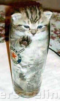 eh  ho!! y' a quelqu' un  qui  peut  m' aider